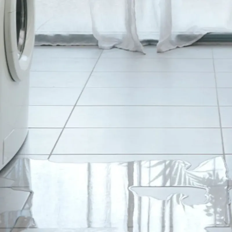 Appliance Leak Cleanup in Van Lear, KY