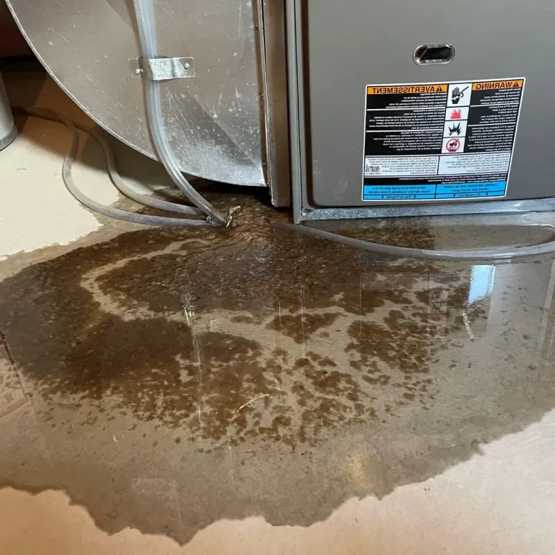 Pipe Burst and Leak Restoration in Van Lear, KY