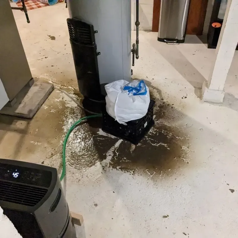 Sewage Backup Cleanup Service in Van Lear, KY